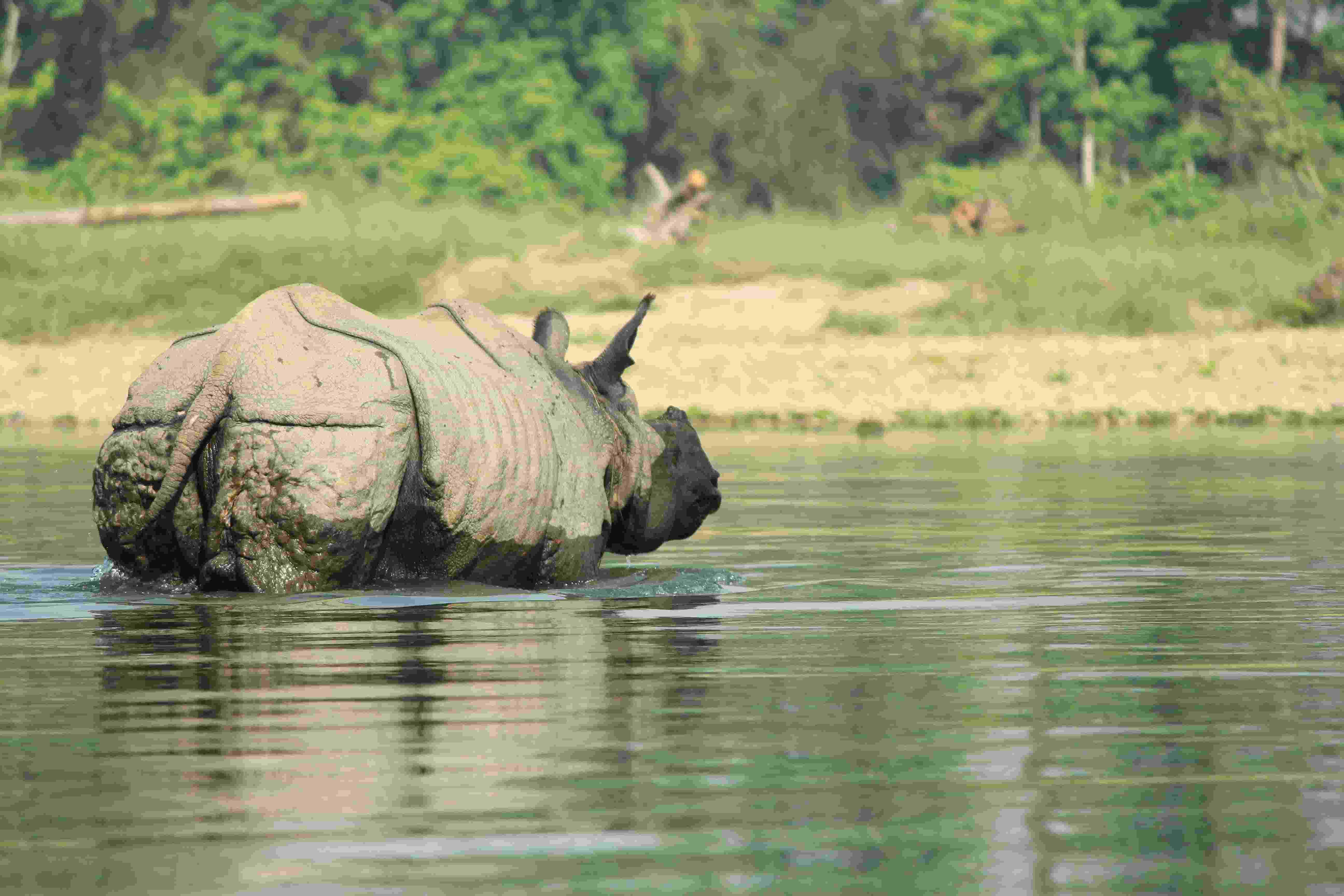 Chitwan National Park